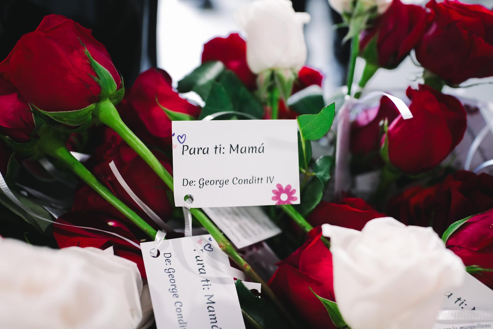 George Conditt celebra el día de las madres con entrega de rosas a las fanáticas de los Gigantes “de la C”